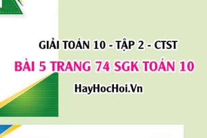 Giải bài 5 trang 74 Toán 10 tập 2 SGK Chân trời sáng tạo